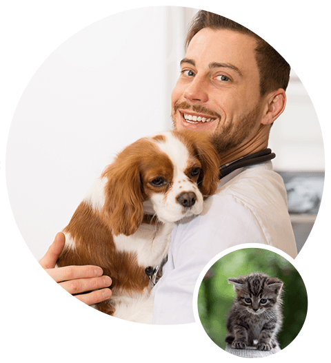 Emotional Support Animal letters | Improving Lives Counseling Services